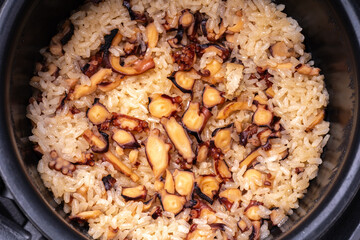 炊きたての蛸おこわ