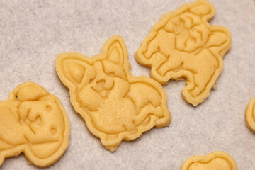 Cookies in the form of dogs before baking on a baking sheet close up