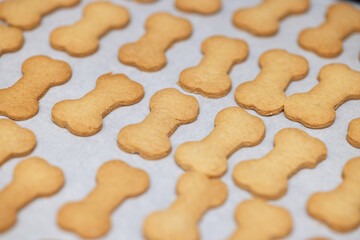 Rows of dog-bone cookies on a baking sheet