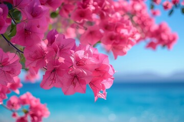 Spring frame with pink bougainvillea flowers and blue  mediteranien sea  - obrazy, fototapety, plakaty