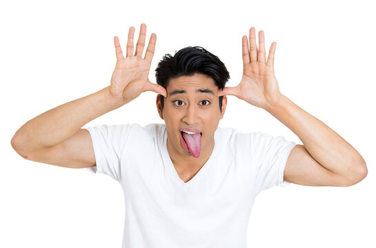 Closeup portrait of a young angry man, sticking out tongue at you, camera gesture, thumbs hands on temple, isolated on white background.