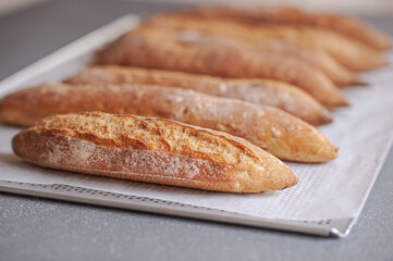 Assortments of bread, freshly baked on a shelf. Bakery goods. Variety of baguettes and buns. 