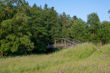 Fototapeta na wymiar Bridge over a small river in green nature