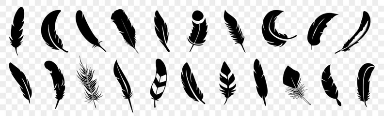 Set of black bird feather icon. Black feather collection. Set of detailed majestic feather. Feather icon collection