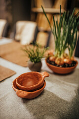 plants planted in handmade clay pots
