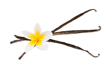 Photo of three vanilla pods with a flower isolated on transparent background,  natural food and baking exotic ingredient, png file - 736128076