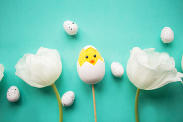 White tulips and toy chicken in shell on green background. Easter greeting card