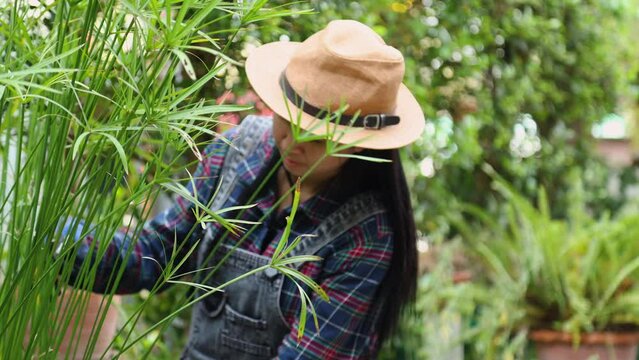Asian female gardener trimming dry leaves in greenery garden nurturing potted plants and flowers, happy woman day lifestyle carefree at home, small business entrepreneur working gardening equipment