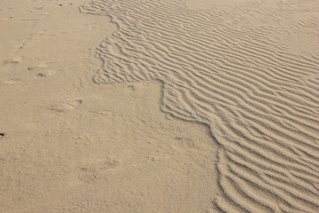 冬の鳥取砂丘とその紋様 鳥取県 鳥取砂丘