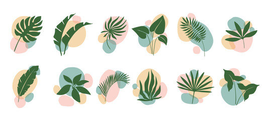 Boho leaf and plants, abstract organic shapes floral art and minimalist graphic design, vector set. Boho green leaves of palm and monstera or tropical plants and exotic fern leaf for botanical print - obrazy, fototapety, plakaty