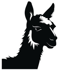 Obraz premium Llama silhouette