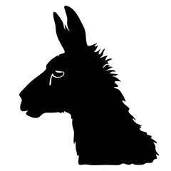 Naklejka premium Llama silhouette