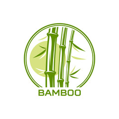 Bamboo icon for Asian SPA, jungle tree and green leaf vector symbol for massage, health and beauty. Bamboo in circle for Japanese or Chinese natural organic cosmetics emblem or SPA salon