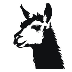 Llama silhouette © vectorcyan