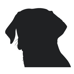  Labrador Dog silhouette