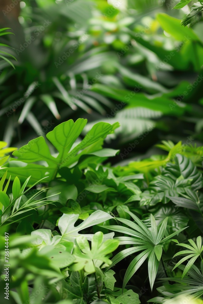 Poster a close-up view of a bunch of vibrant green plants. this image can be used to showcase the beauty of