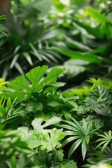 Obraz premium A close-up view of a bunch of vibrant green plants. This image can be used to showcase the beauty of nature or as a background for eco-friendly concepts