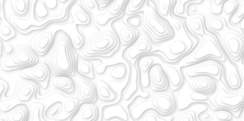 Abstract geometric layered curve line white background. 3d white papercut topography relief. Cover layout template. paper cut topography soft background banner texture. light liquid wave illustration.