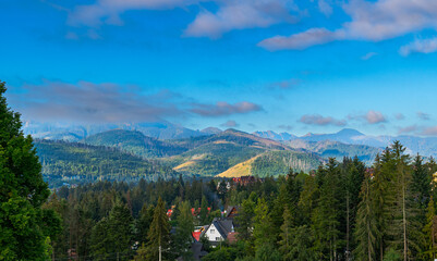 mountain view forest landscape Poland Zakopane © Андрей Трубицын