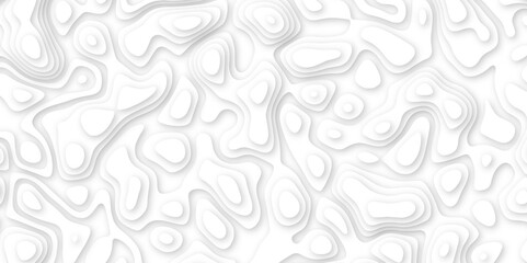 Abstract geometric layered curve line white background. 3d white papercut topography relief. Cover layout template. paper cut topography soft background banner texture. light liquid wave illustration.