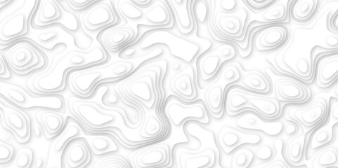 Abstract geometric layered curve line white background. 3d white papercut topography relief. Cover layout template. paper cut topography soft background banner texture. light liquid wave illustration.