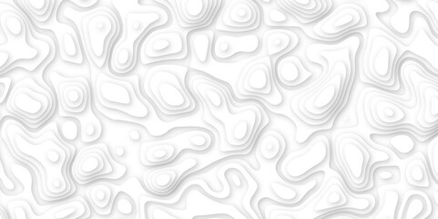 Abstract geometric layered curve line white background. 3d white papercut topography relief. Cover layout template. paper cut topography soft background banner texture. light liquid wave illustration.