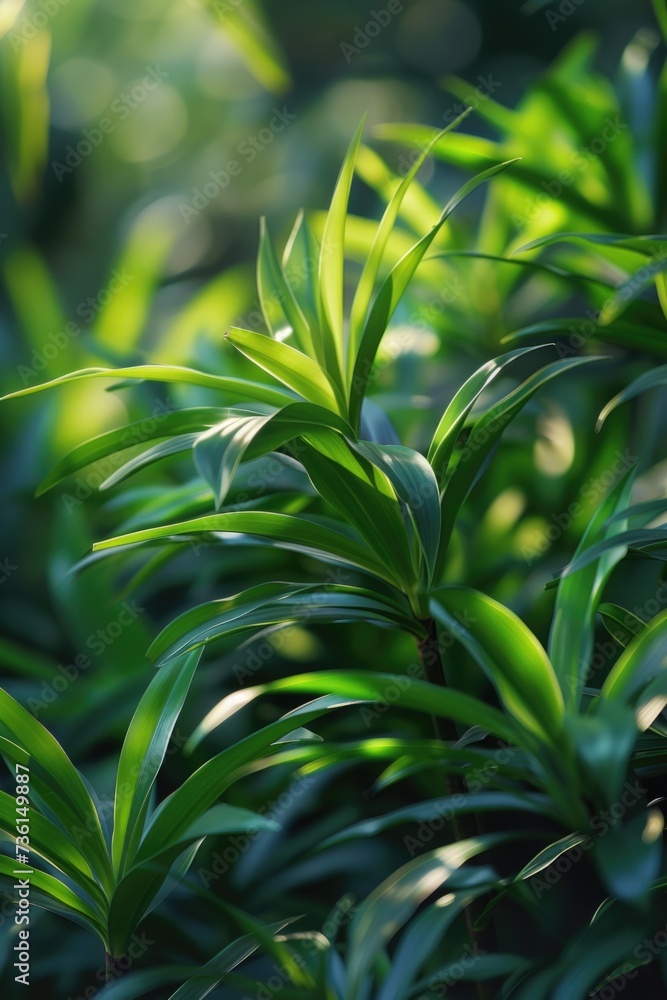 Poster A close-up view of a bunch of vibrant green plants. Ideal for adding a touch of nature to any project