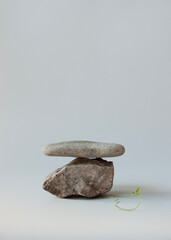 stone and sprout , still life on a light background