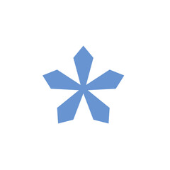 Blue asterisk icon