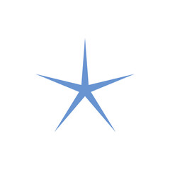 Blue asterisk icon