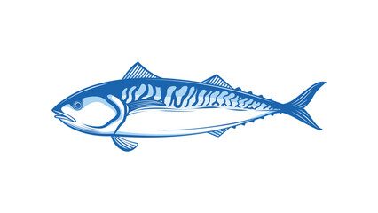 isolated vector of atlantic mackerel fish illustration