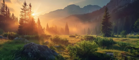 Foto op Plexiglas Mountain valley during sunrise. Natural summer landscape in Slovakia © Artem