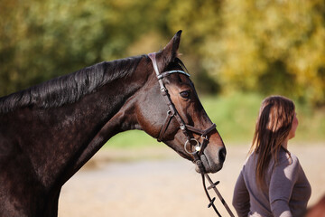 Obraz premium Foal horse brown in the sunshine on the riding arena, with mother mare and owner.
