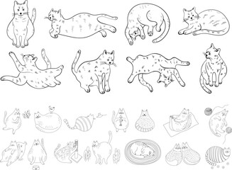 Set of cute cartoon cats different poses. Hand drawn illustration in doodle style isolate on white collection.