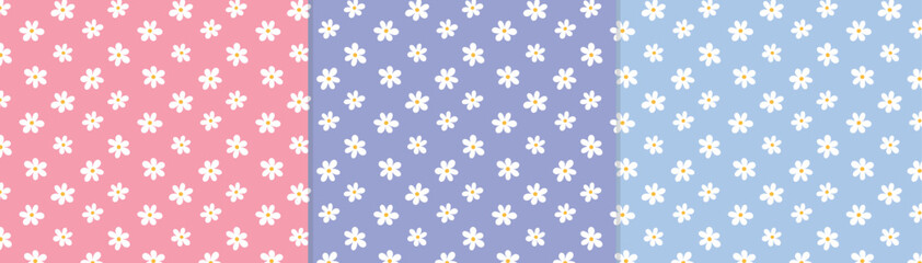 vector seamless pattern set with daisy. pink, blue, violet repetitive trendy floral spring summer patterns. women's day, easter romantic white flower patterns