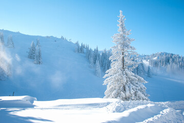 View of frozen trees. Mountain landscape on a sunny winter day.