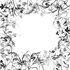 wreath of meadow herbs, frame, vector illustration	