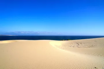 Cercles muraux Atlantic Ocean Road high sandy dune landscape near Valdevaquero with a view towards the Atlantic Ocean, Tarifa, Cadiz, Andalusia, Spain, fantastic landscape, tourism, travel