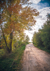 Obraz premium Autumn landscape on river