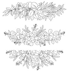 Line art eucalyptus leaves arrangement set. Outline vintage botanical vector drawing on transparent background. Trendy greenery elements for logo, tattoo, packaging, wedding invitations, stickers.