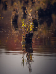 Autumn landscape on river
