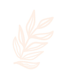 Fototapeta na wymiar Floral element, abstract nature plant leaf vector illustration