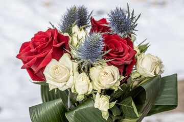 Blooming red roses, close-up. big beautiful garden flowers red roses. flowers for the holiday, bokeh, macro, floral background. bouquet of red roses