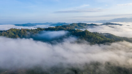 Aerial view of the Borneo rainforest.