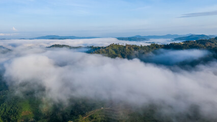 Aerial view of the Borneo rainforest.