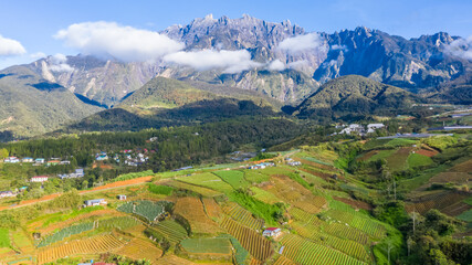 aerial view of Kundasang Sabah landscape with cabbage farm and Mount Kinabalu at far background...