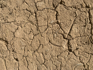 Dry cracked earth texture