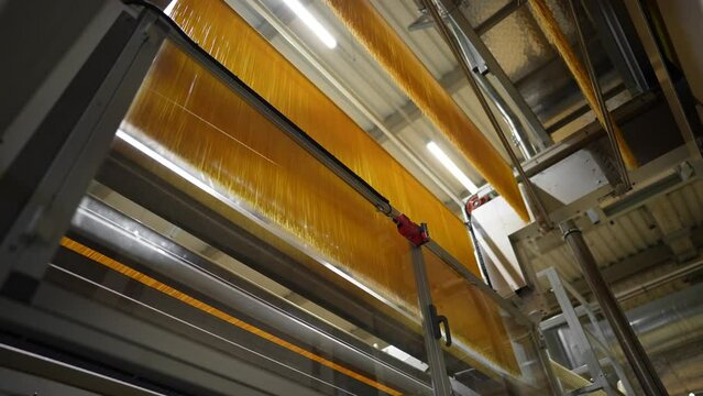 pasta factory - industrial production - food products production line