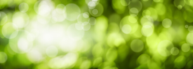 Green bokeh on nature abstract blur background. Banner photo.