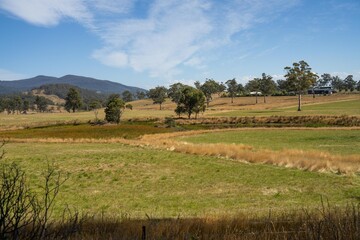 Fototapeta na wymiar grass growing in a field on a cattle ranch in spring farming landscape